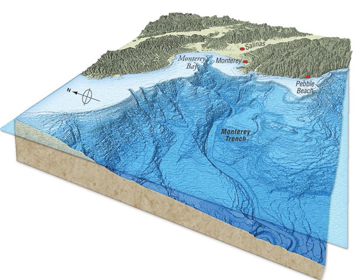 Monterey Trench map